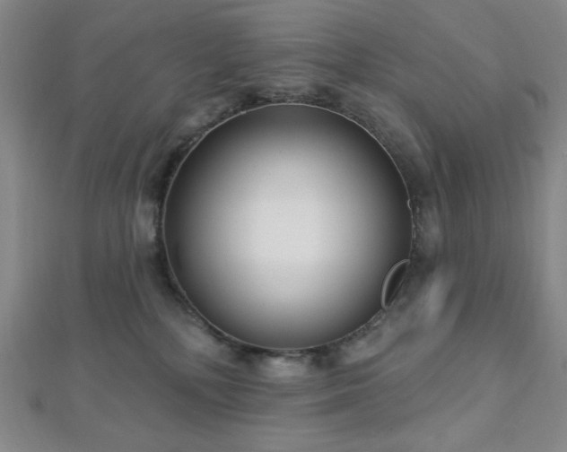 X0000112720232200908201255