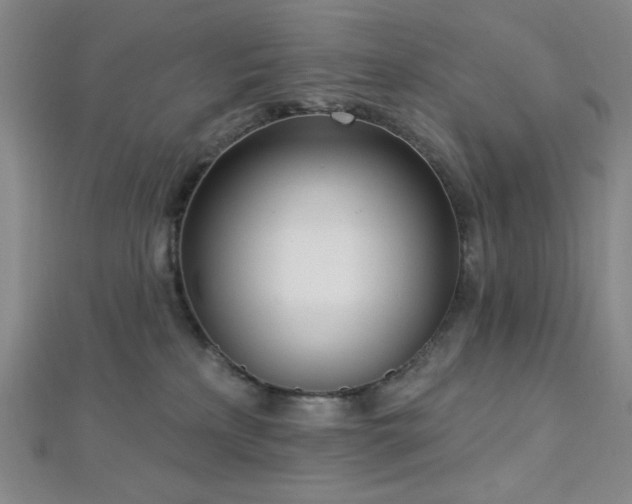 X0000112720233200908201255