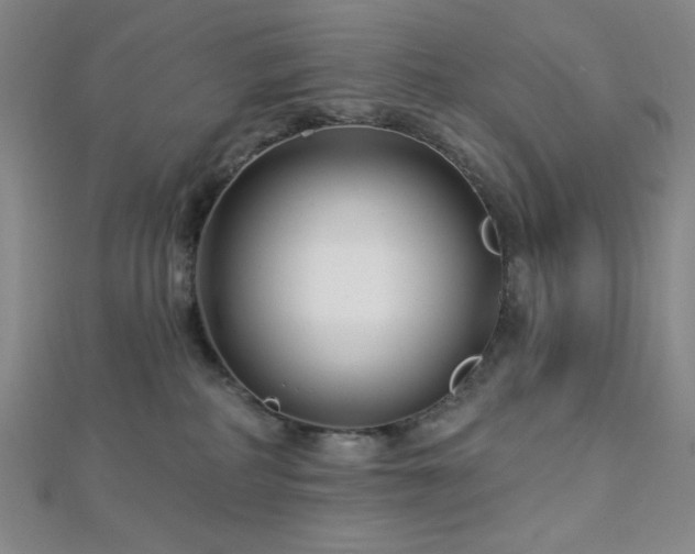 X0000112720234200908201255