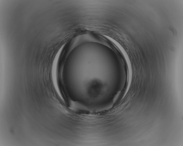 X0000112720235200908201255