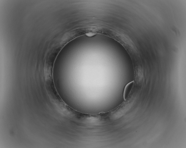 X0000112720236200908201255