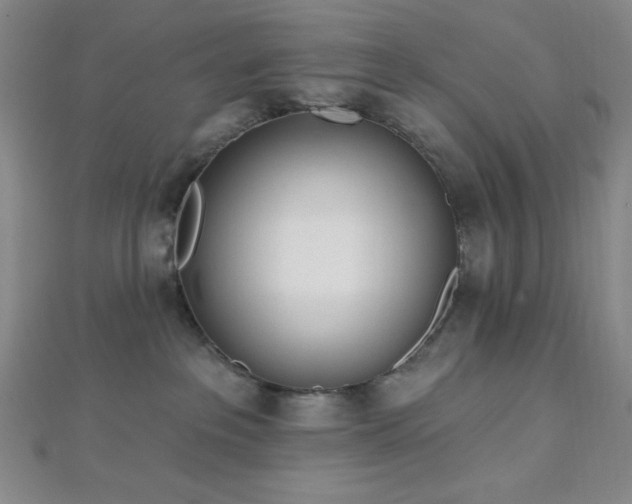 X0000112720237200908201255