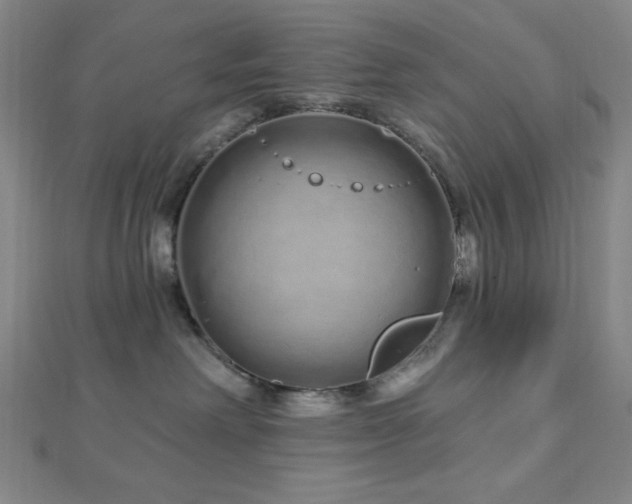 X0000112720238200908201255