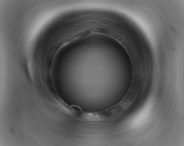 X0000112720239200908201254