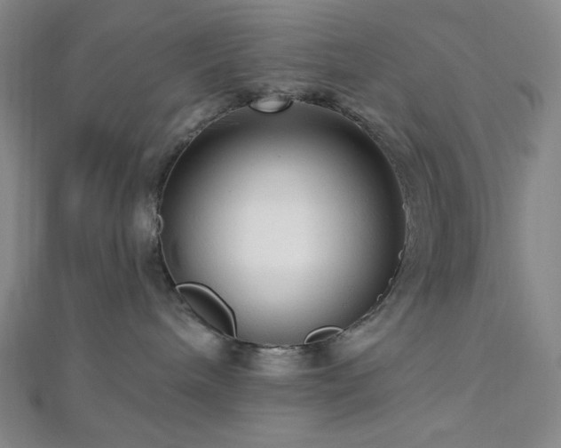 X0000112720240200908201254