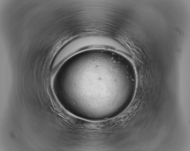 X0000112720241200908201254