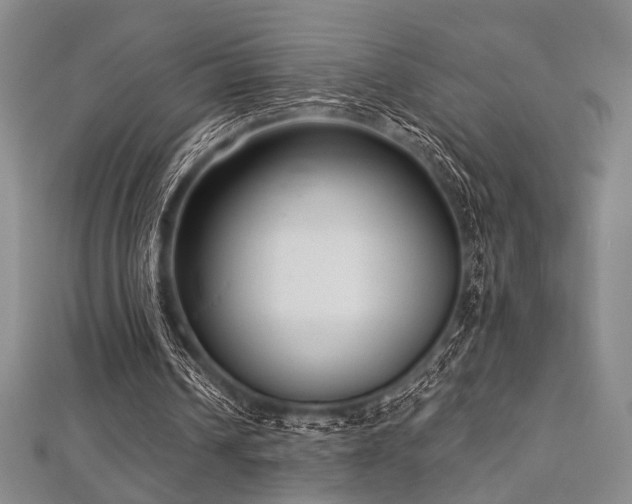 X0000112720242200908201254