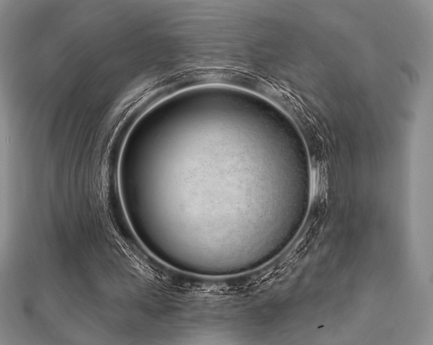 X0000112720243200908201254