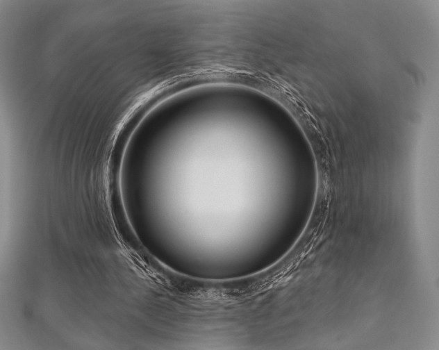 X0000112720244200908201254