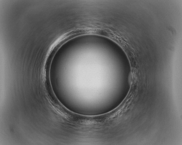 X0000112720246200908201254