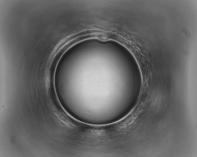 X0000112720247200908201254
