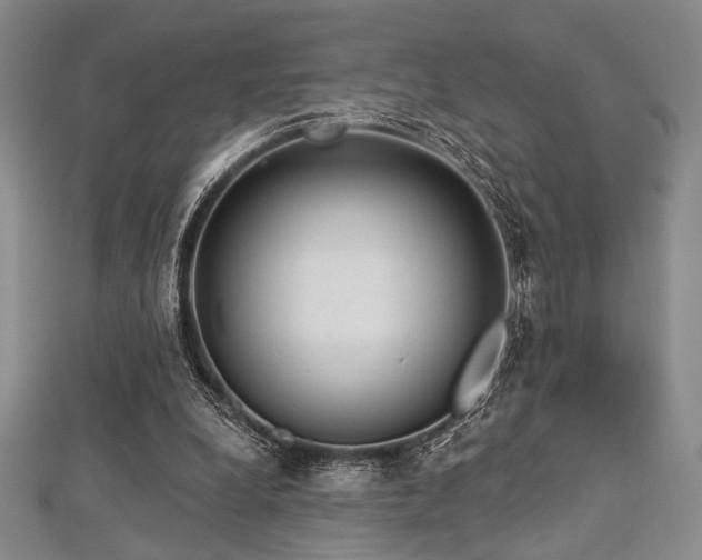 X0000112720248200908201254
