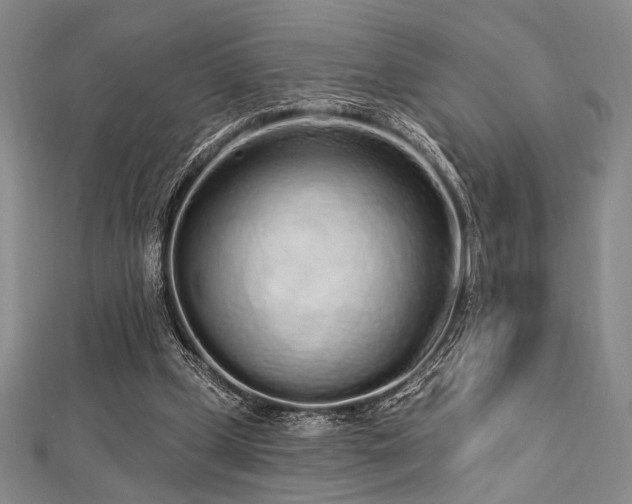 X0000112720249200908201254