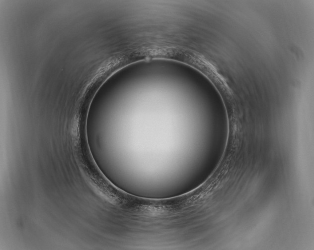 X0000112720250200908201254