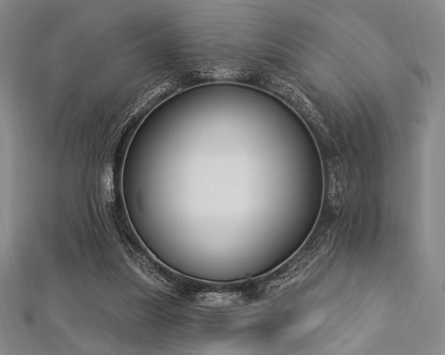X0000112720251200908201254
