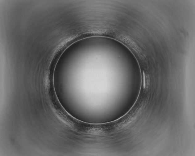 X0000112720252200908201254