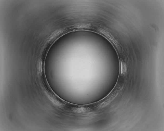 X0000112720253200908201254