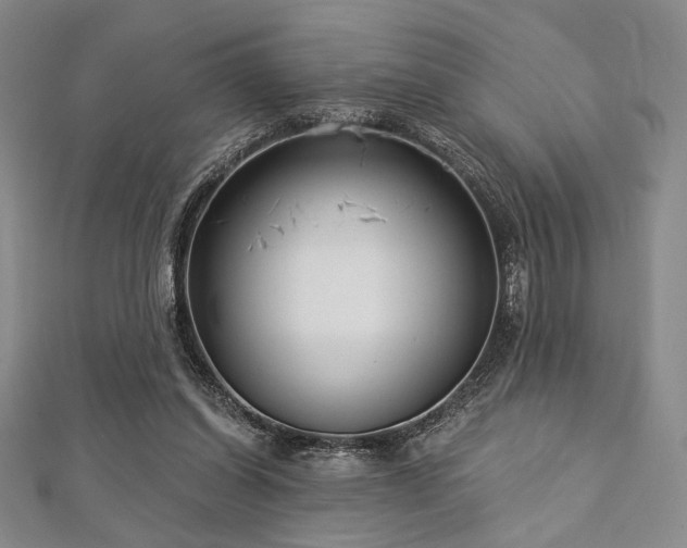 X0000112720254200908201254