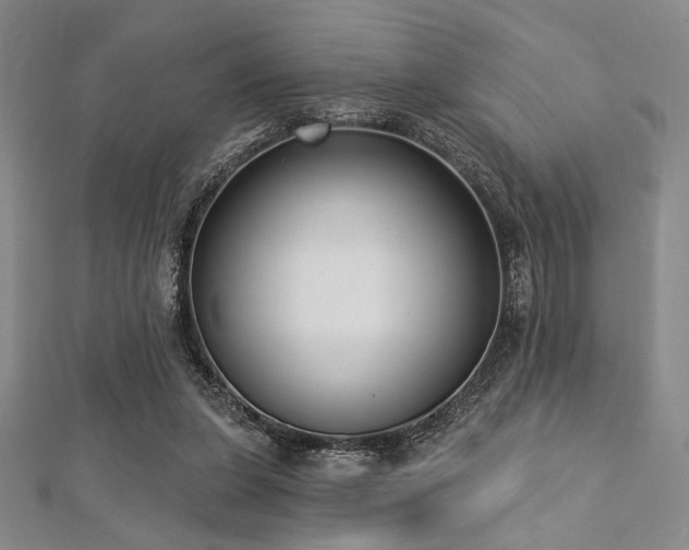 X0000112720255200908201254