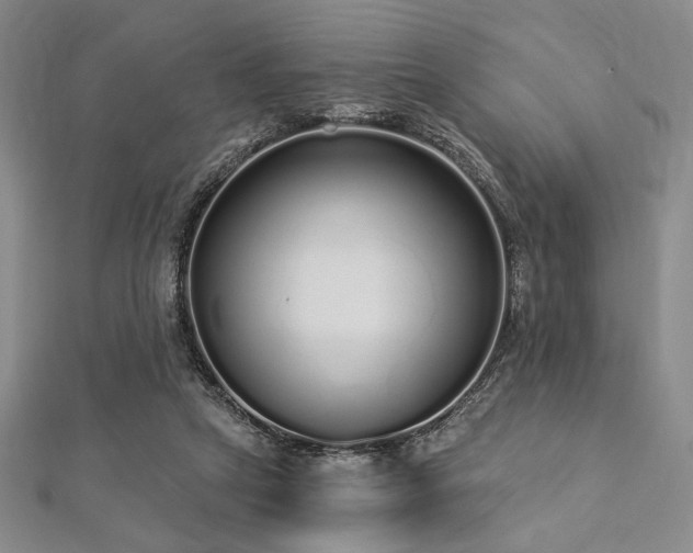 X0000112720257200908201254