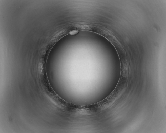 X0000112720259200908201254