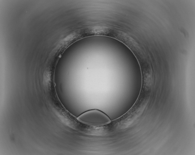 X0000112720260200908201254