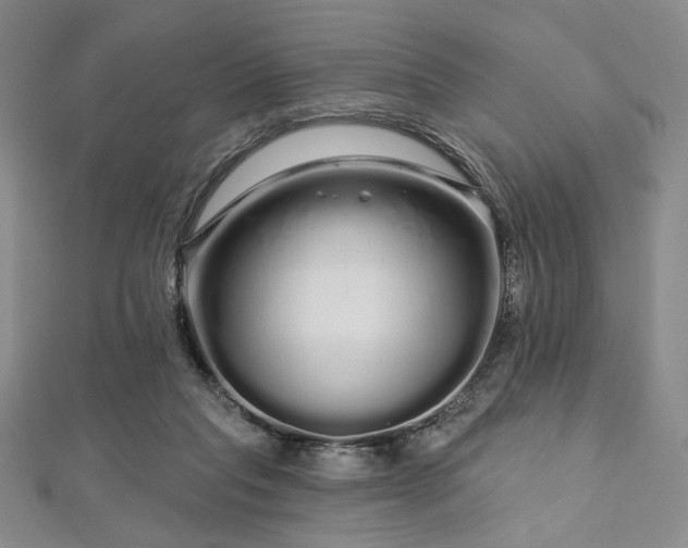 X0000112720261200908201254