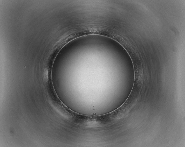 X0000112720262200908201254