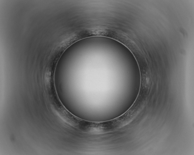 X0000112720263200908201254