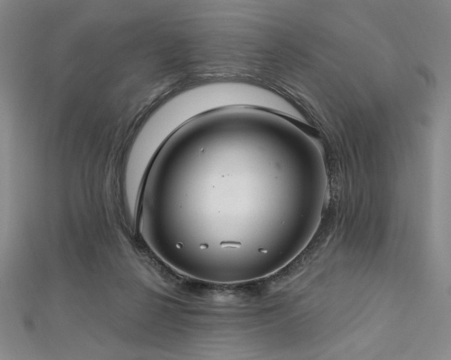 X0000112720264200908201254