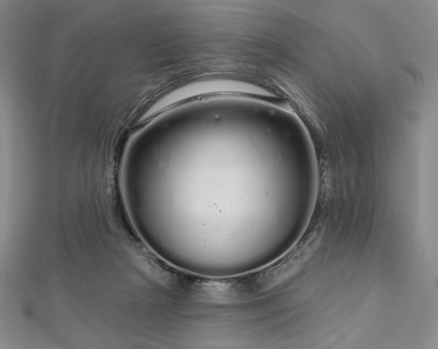 X0000112720265200908201254
