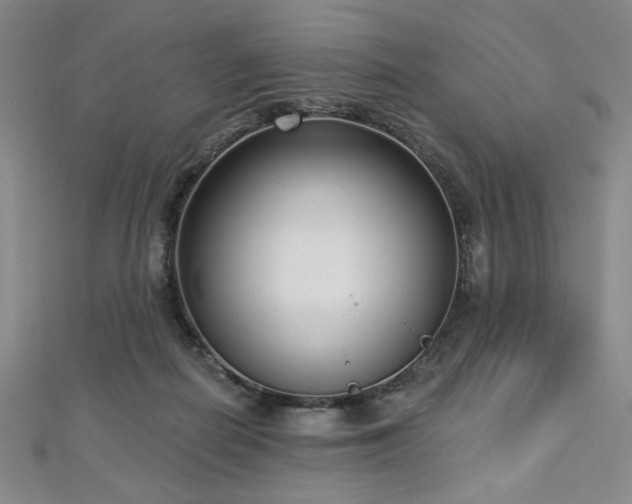 X0000112720266200908201254