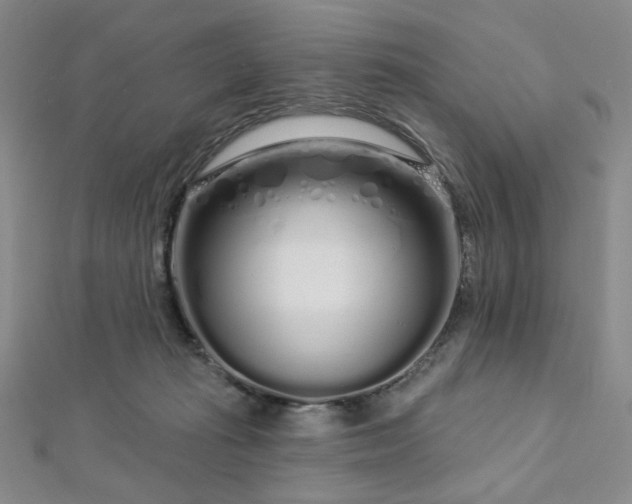 X0000112720269200908201254