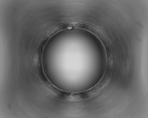 X0000112720270200908201254