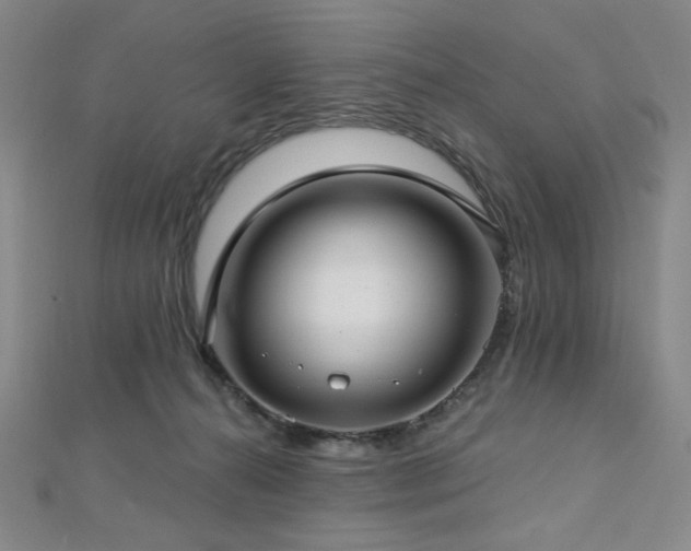 X0000112720272200908201254