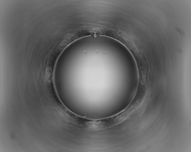 X0000112720273200908201254