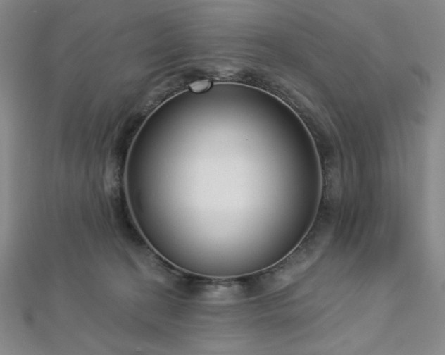 X0000112720274200908201254