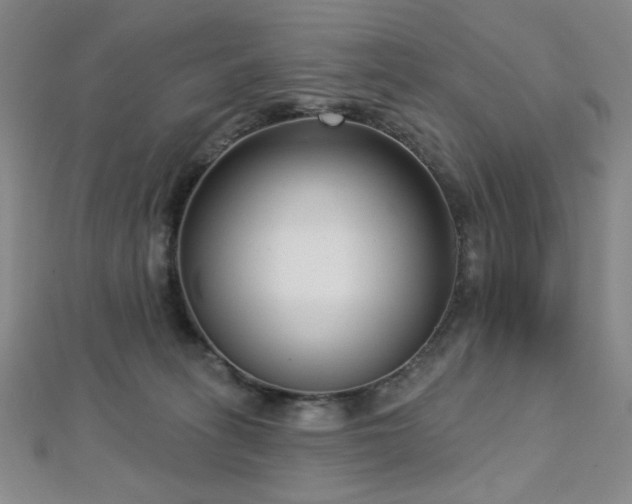 X0000112720275200908201254