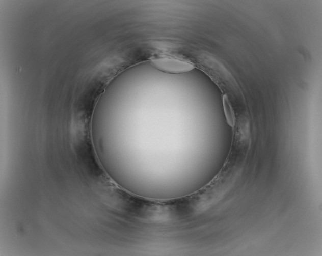 X0000112720276200908201254