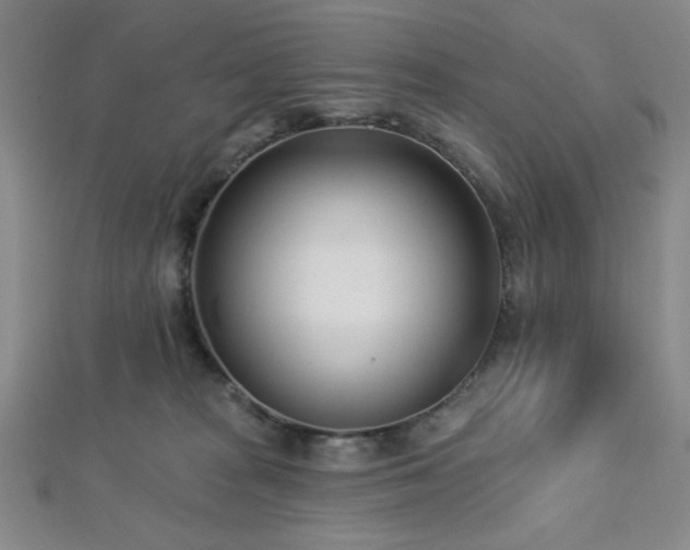 X0000112720277200908201254