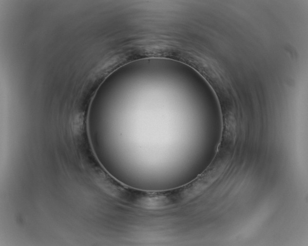 X0000112720278200908201254