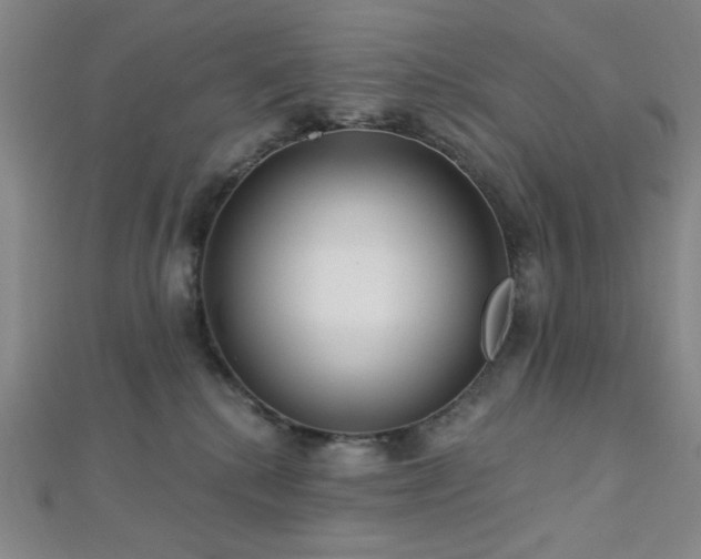 X0000112720280200908201254