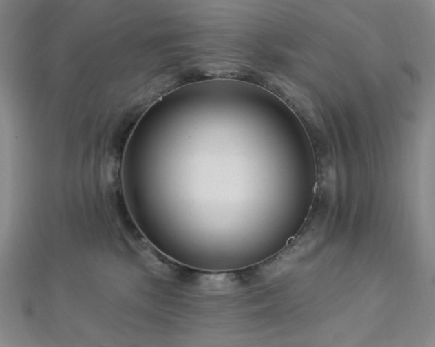 X0000112720281200908201254
