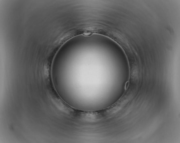 X0000112720282200908201254