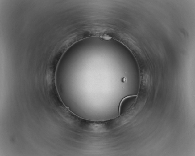 X0000112720283200908201254