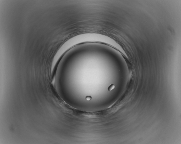 X0000112720284200908201254