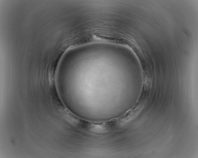 X0000112720285200908201254