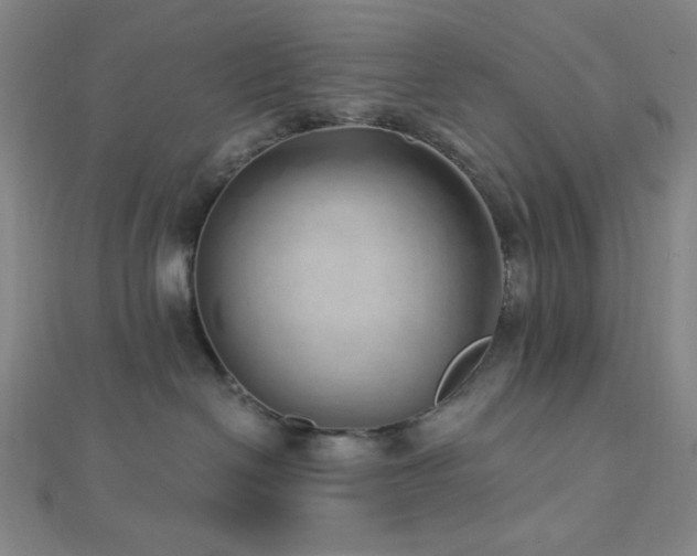 X0000112720286200908201254