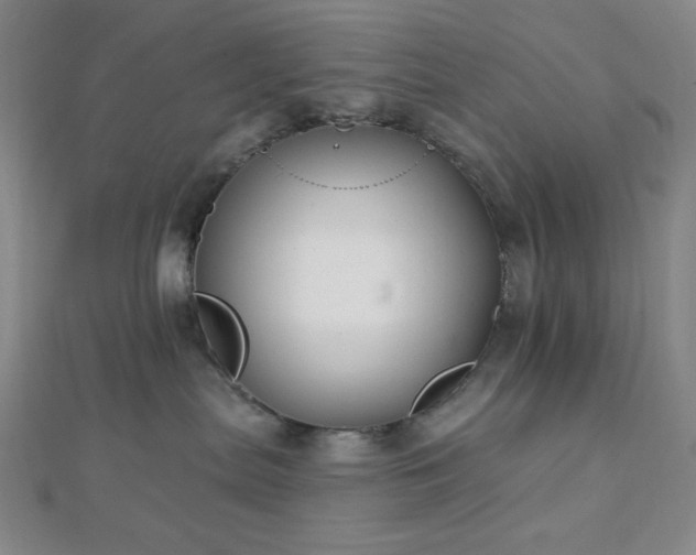 X0000112720287200908201254