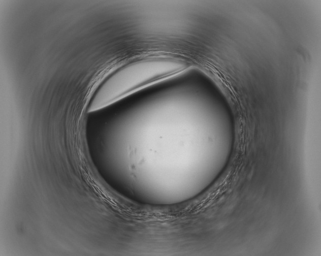 X0000112720289200908201254